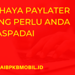 Bahaya Paylater yang Perlu Anda Waspadai