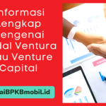 Informasi Lengkap Mengenai Modal Ventura atau Venture Capital