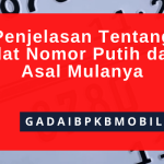 Penjelasan Tentang Plat Nomor Putih dan Asal Mulanya
