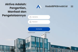 Aktiva Adalah: Pengertian, Manfaat dan Pengelolaannya