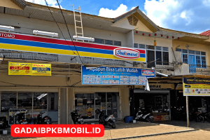 Franchise Indomaret: Salah Satu Peluang Bisnis Menjanjikan