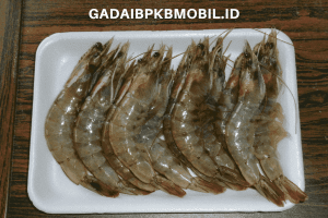 Panduan Lengkap untuk Memulai Usaha Tambak Udang