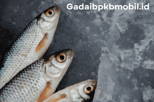 Menggali Potensi yang Luar Biasa dari Bisnis Ikan