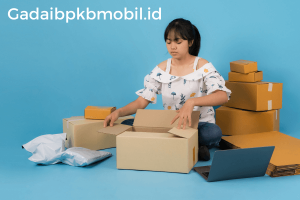Memahami Perbedaan Dropship dan Reseller, Mana Lebih Baik?